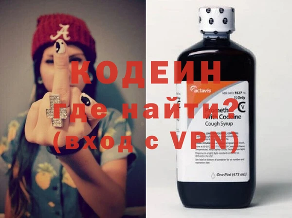 apvp Инта