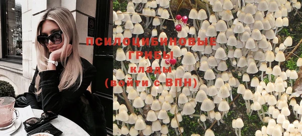 соль ск Иннополис