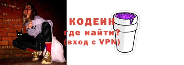 соль ск Иннополис
