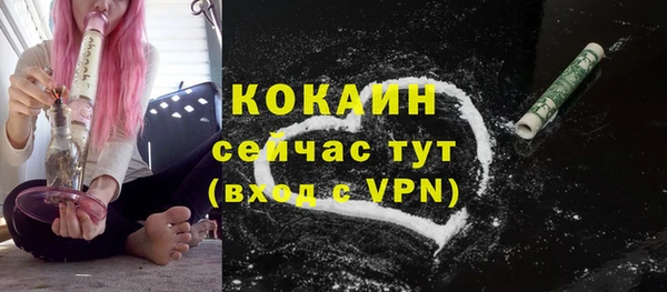apvp Инта