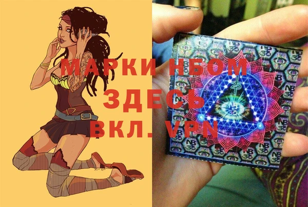 apvp Инта