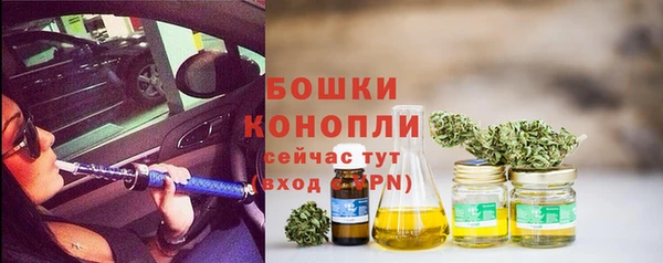 apvp Инта