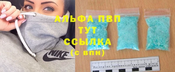 apvp Инта