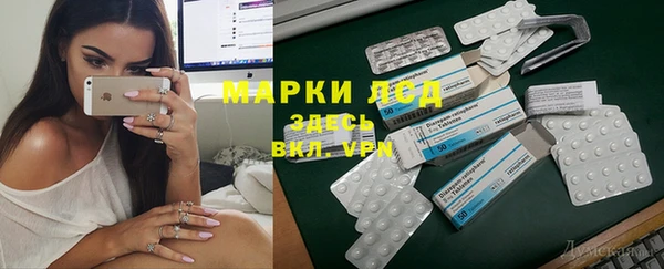 apvp Инта