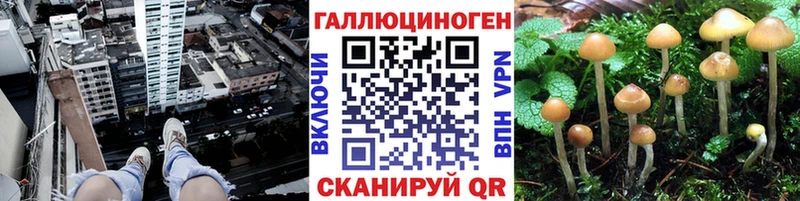Псилоцибиновые грибы ЛСД  Купить  Зеленодольск 